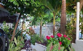 Casita Natural Village #4, #6 Y #8