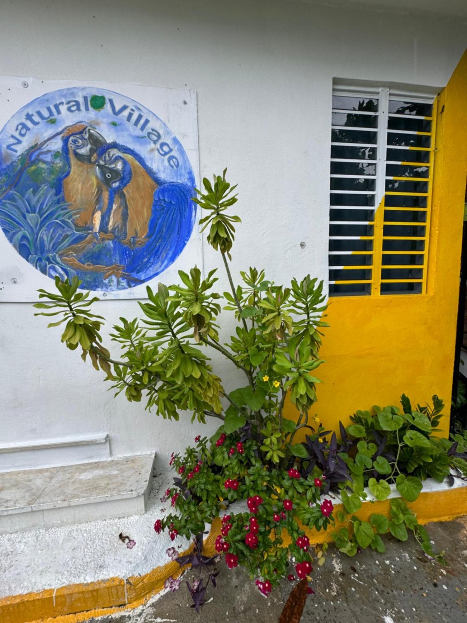 Casita Natural Village #4, #6 Y #8 San Juan Exterior photo